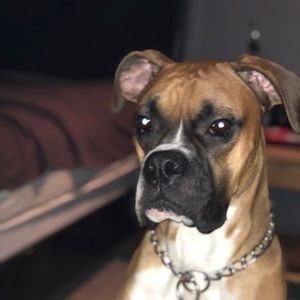 Meet your Posher, Zach